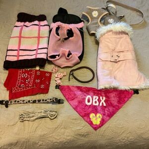 Assorted  Small Dog Accessories in Pink and Red bundle